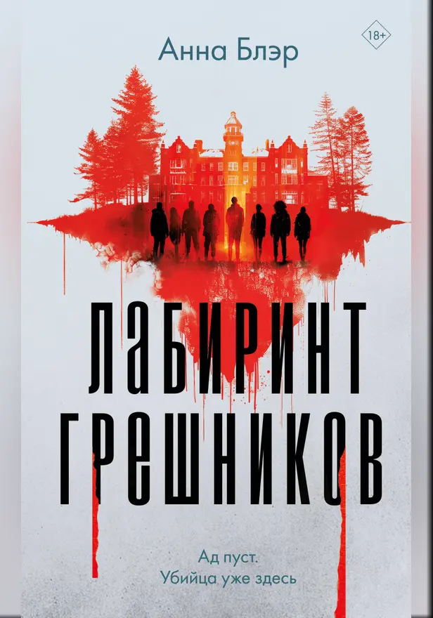 Лабиринт грешников. Обложка