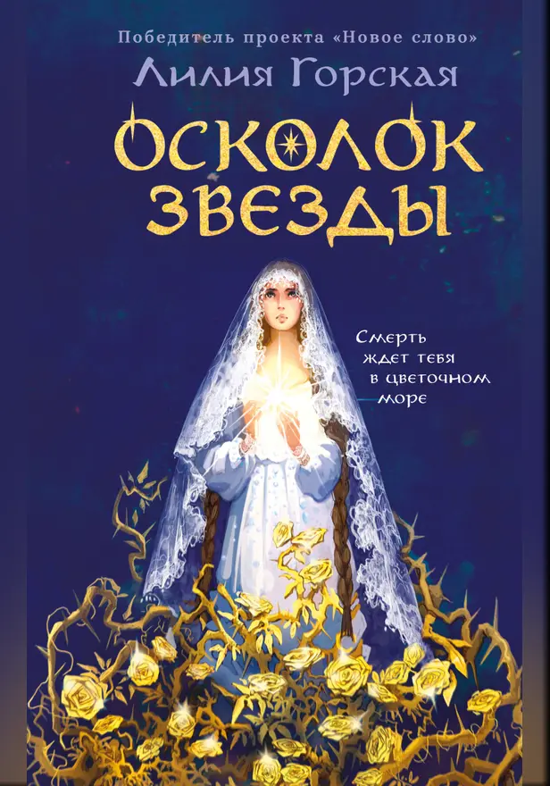 Осколок звезды. Обложка