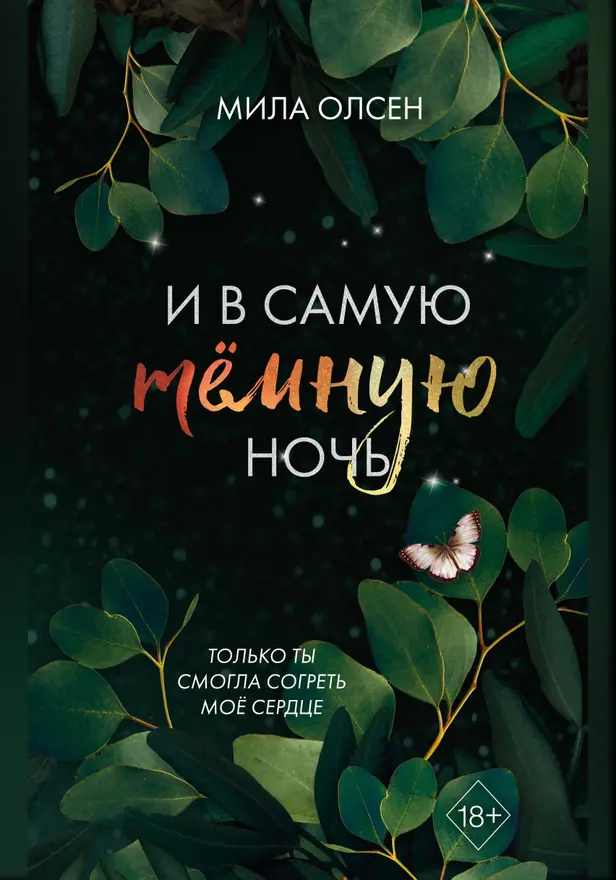 Под северными небесами. И в самую темную ночь. Обложка