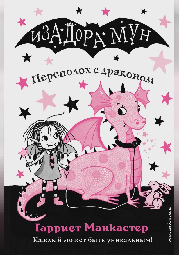 Переполох с драконом. Обложка