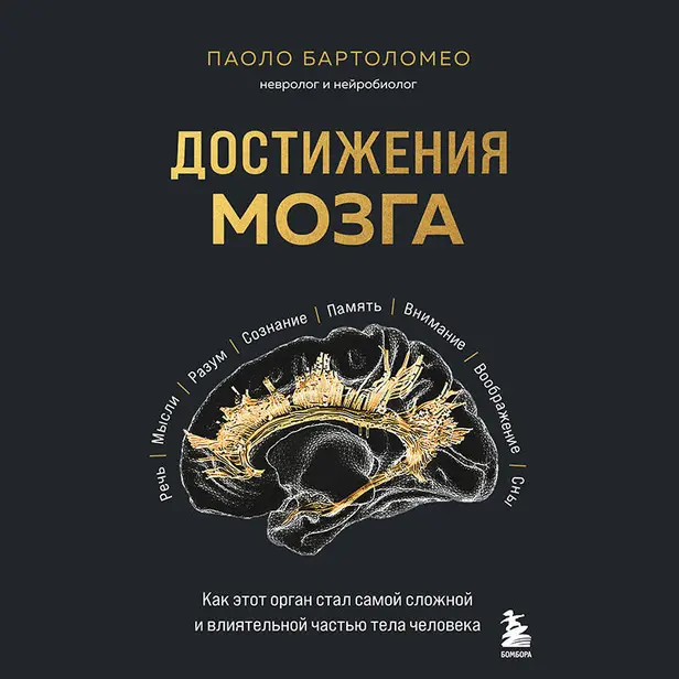 Достижения мозга. Как этот орган стал самой сложной и влиятельной частью тела человека. Обложка