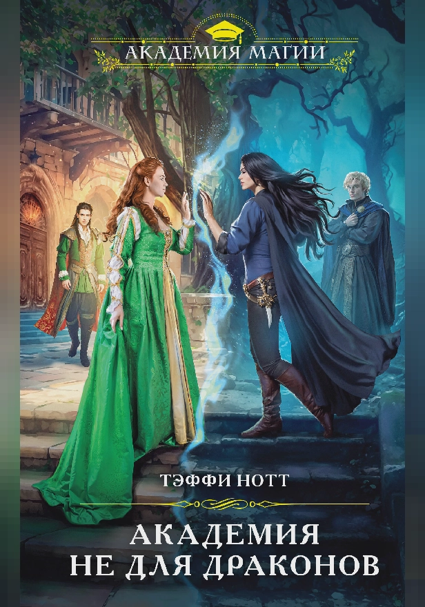 Академия не для драконов. Обложка