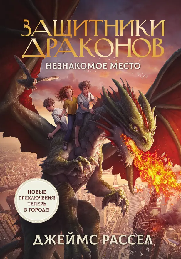 Защитники драконов. Незнакомое место. Обложка