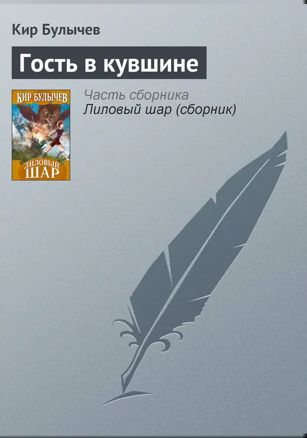 Гость в кувшине. Обложка