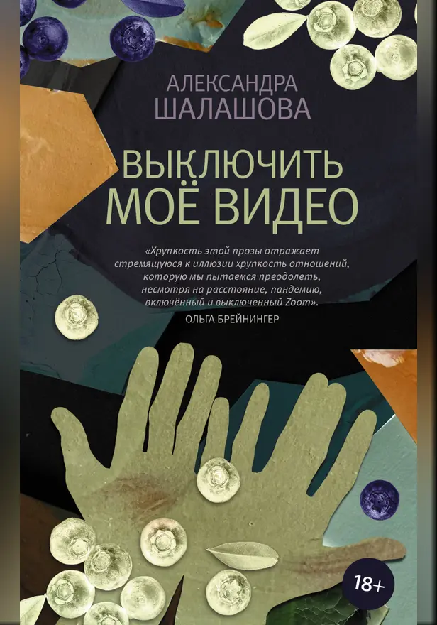 Выключить моё видео. Обложка