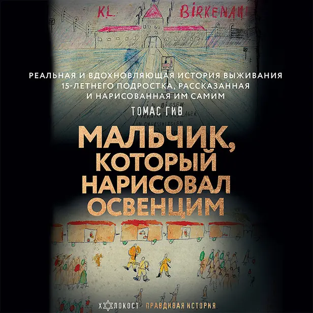 Мальчик, который нарисовал Освенцим. Обложка