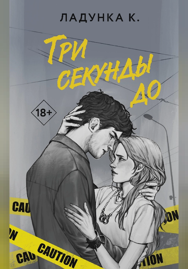 Три секунды до. Обложка