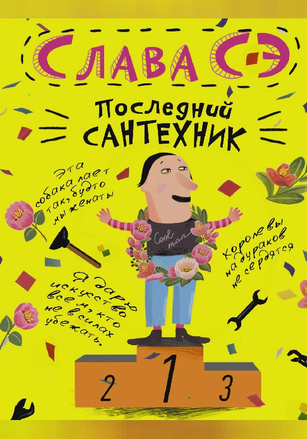 Последний сантехник. Обложка