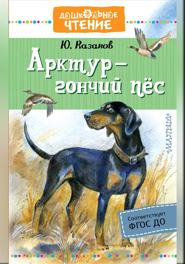 Арктур - гончий пес. Обложка