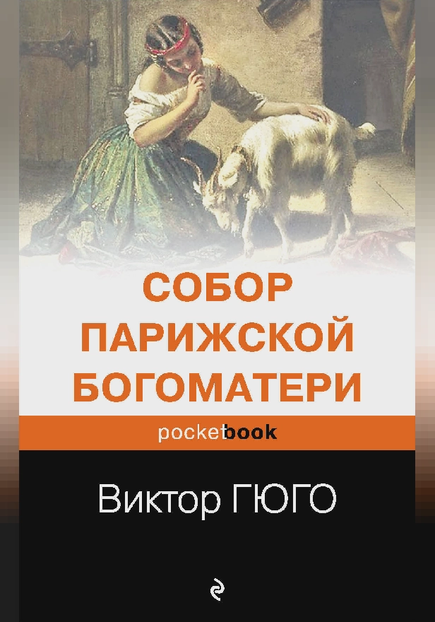 Собор Парижской Богоматери. Обложка