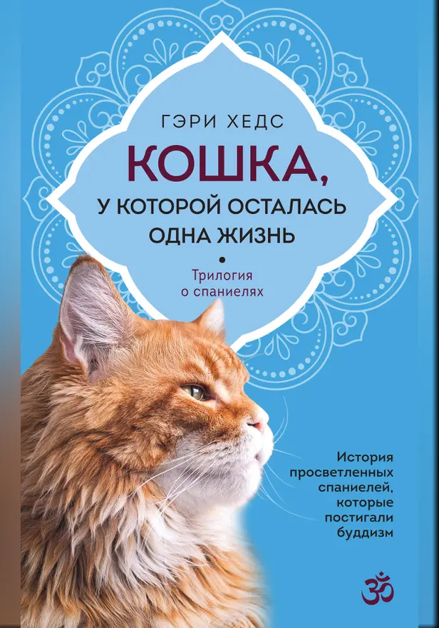 Кошка, у которой осталась одна жизнь. Обложка