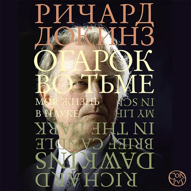 Огарок во тьме. Обложка