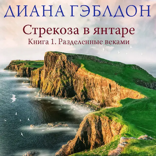 Стрекоза в янтаре. Книга 1. Разделенные веками. Обложка