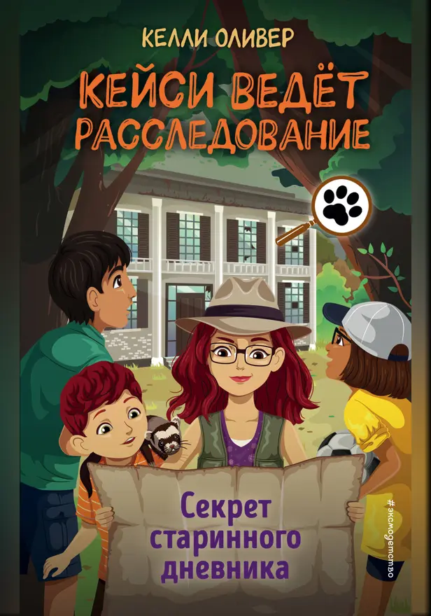 Секрет старинного дневника. Обложка