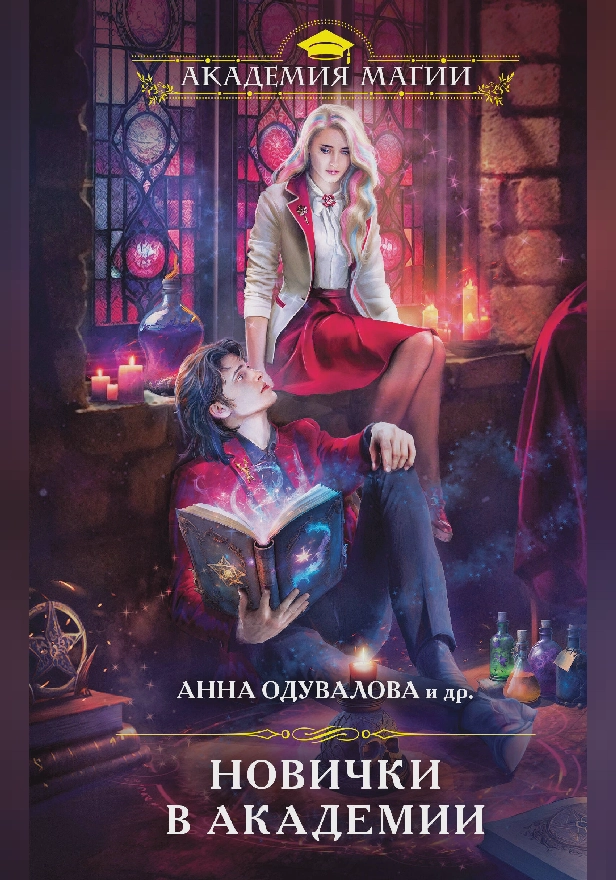 Новички в академии. Обложка