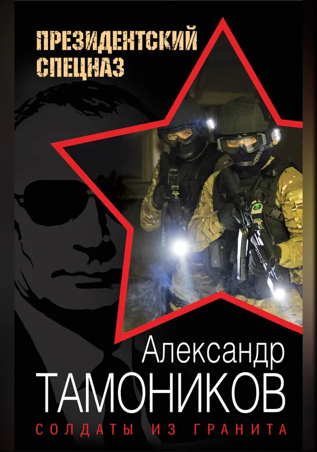 Солдаты из гранита. Обложка