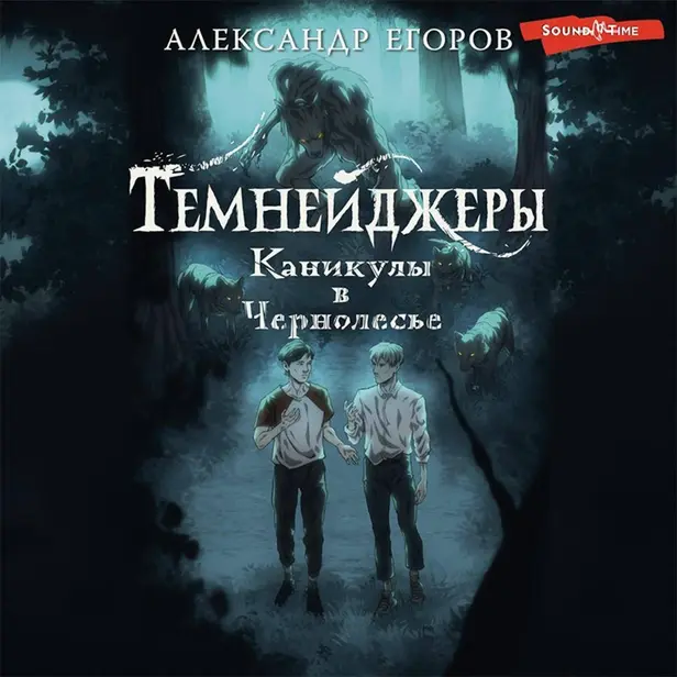 Темнейджеры. Каникулы в Чернолесье. Обложка