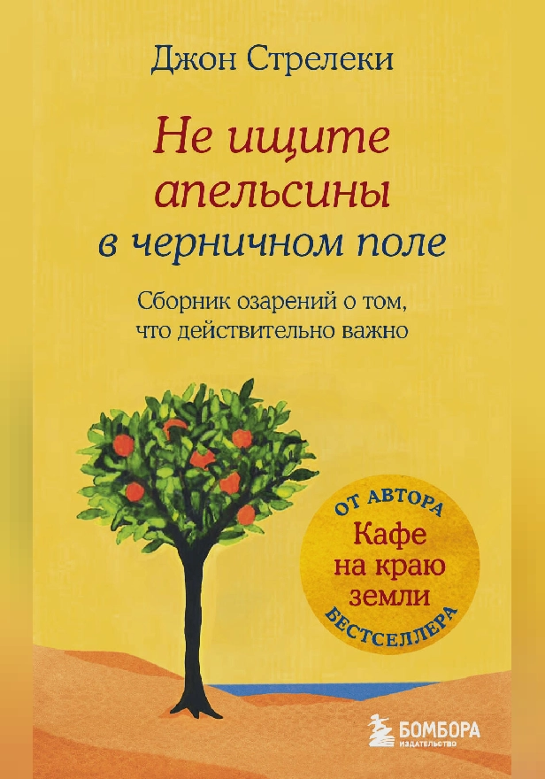 Не ищите апельсины в черничном поле. Сборник озарений о том, что действительно важно #1. Обложка