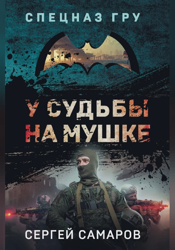 У судьбы на мушке. Обложка