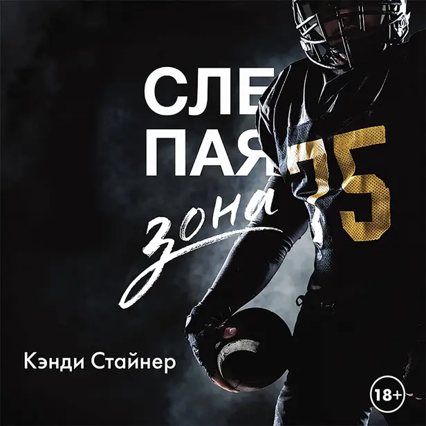 Слепая зона. Обложка