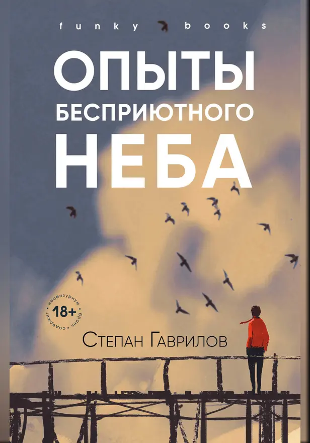 Опыты бесприютного неба. Обложка