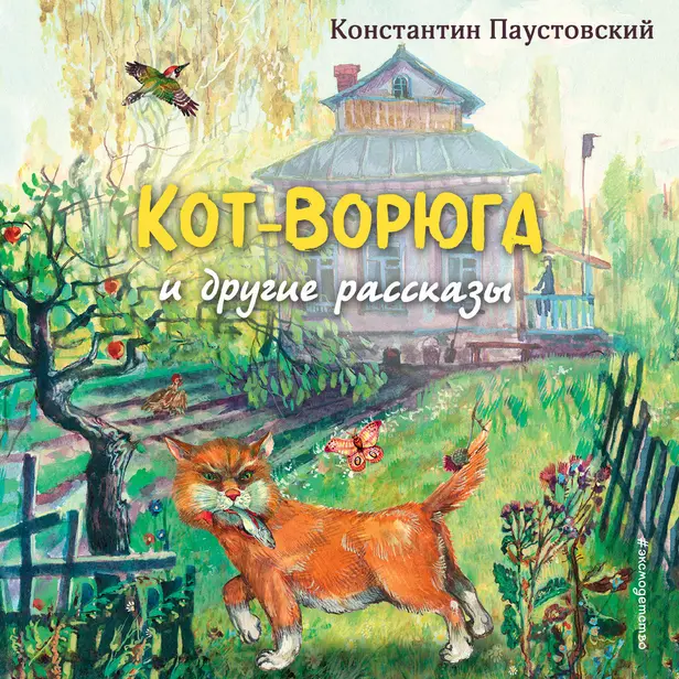 Кот-ворюга. Обложка