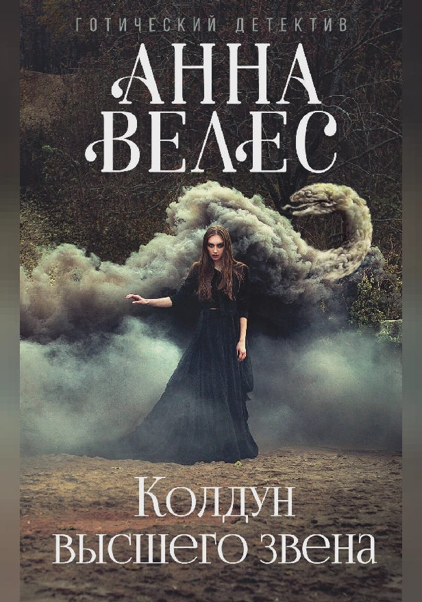 Колдун высшего звена. Обложка