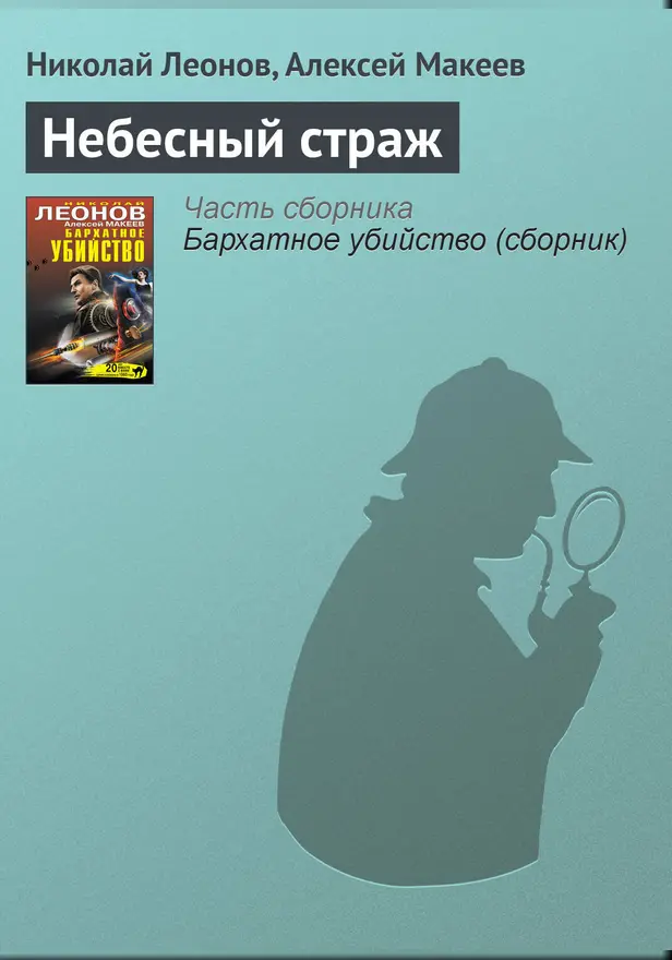 Небесный страж. Обложка