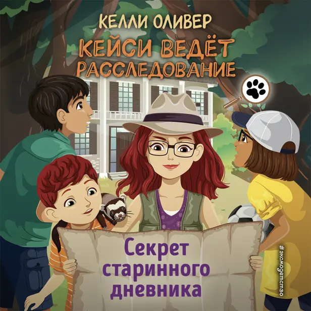 Секрет старинного дневника. Обложка