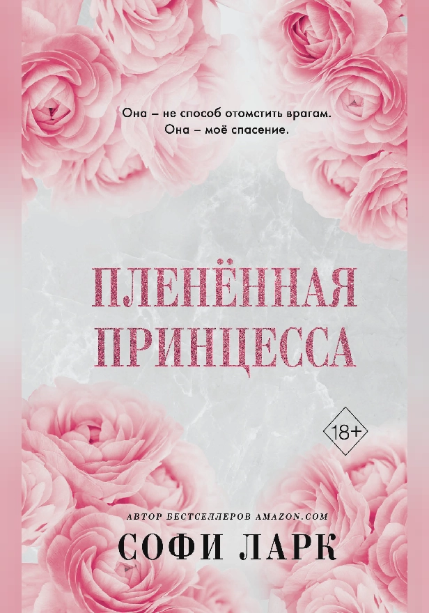Пленённая принцесса. Обложка