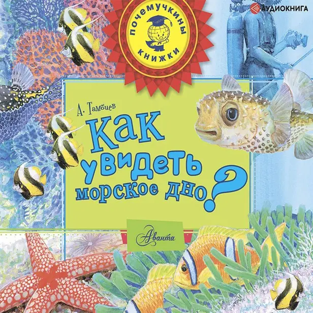 Как увидеть морское дно?. Обложка