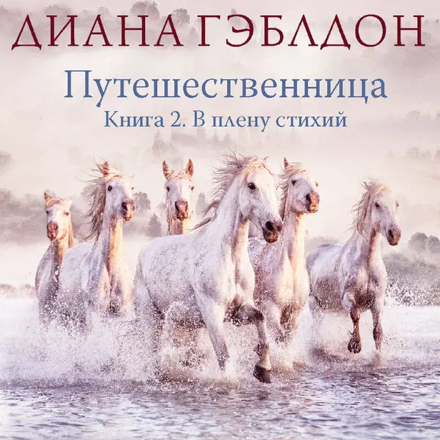 Путешественница. Книга 2. В плену стихий. Обложка