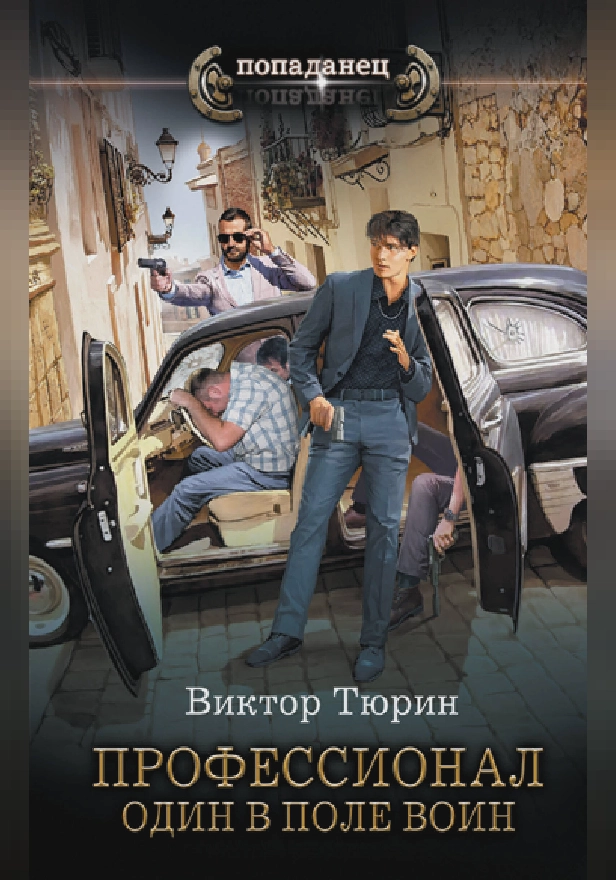 Профессионал. Один в поле воин. Обложка