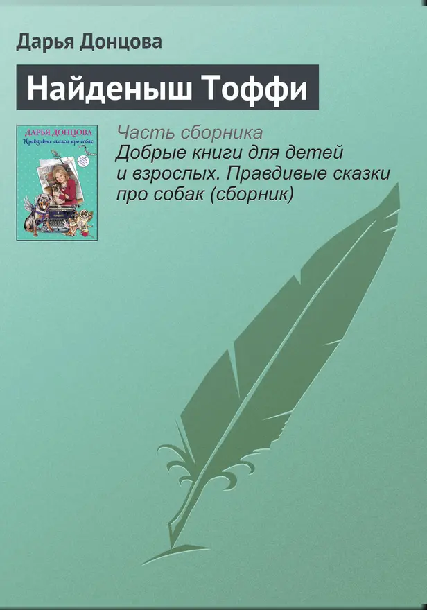 Найденыш Тоффи. Обложка