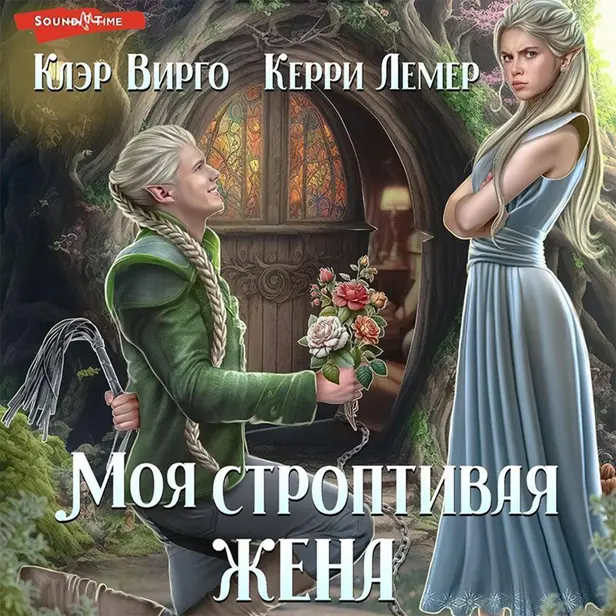 Моя строптивая жена. Обложка
