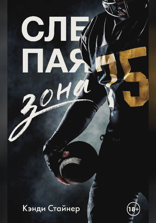 Слепая зона. Обложка