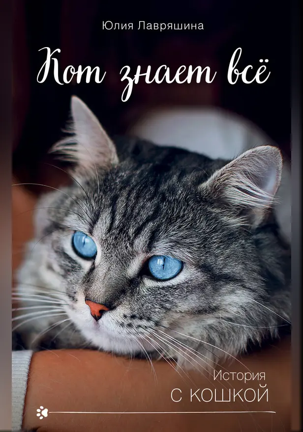 Кот знает всё. Обложка