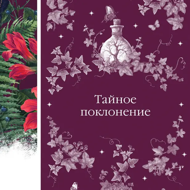 Тайное поклонение. Обложка