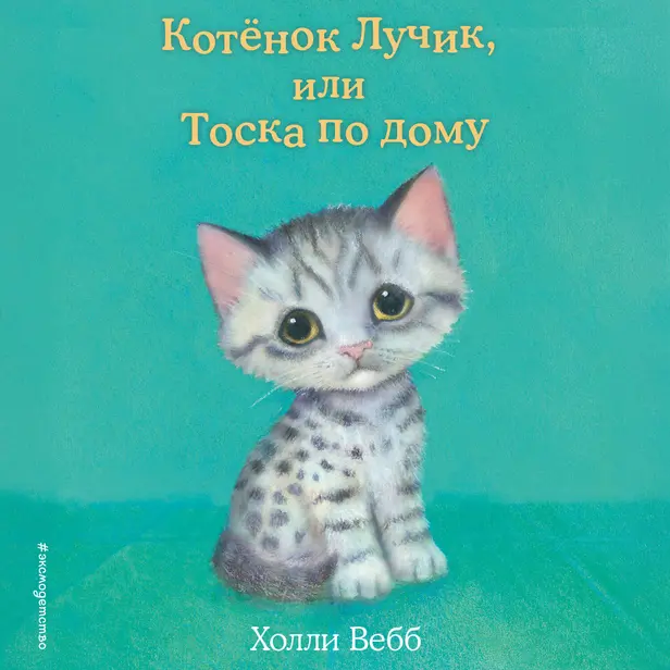 Котёнок Лучик, или Тоска по дому. Обложка