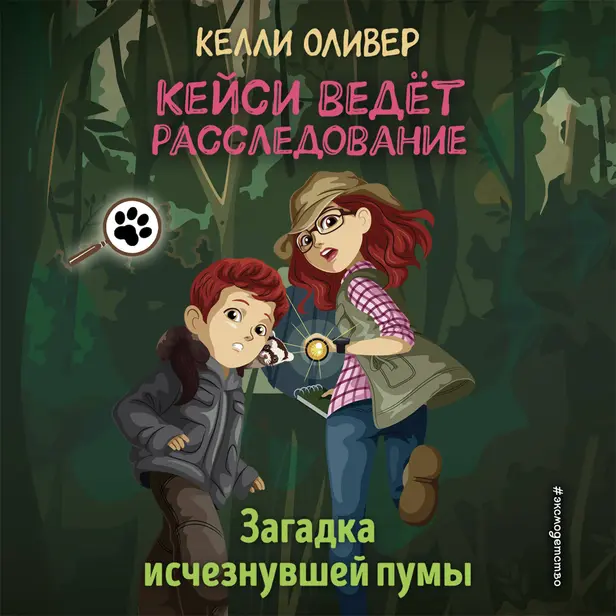 Загадка исчезнувшей пумы. Обложка