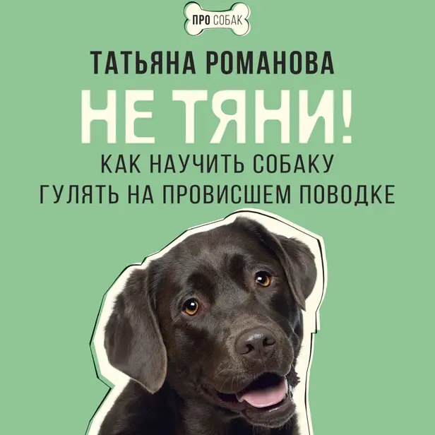 Не тяни! Как научить собаку гулять на провисшем поводке. Обложка
