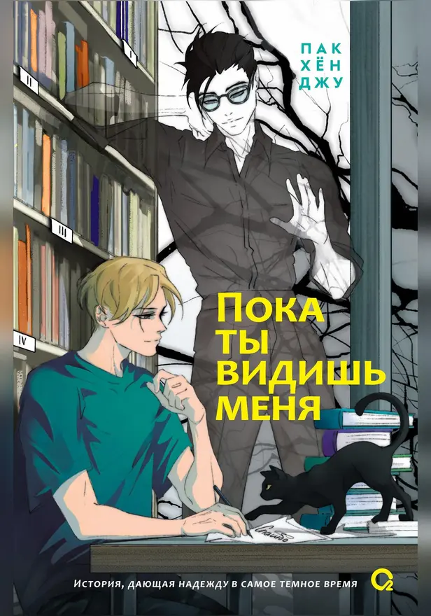 Пока ты видишь меня. Обложка