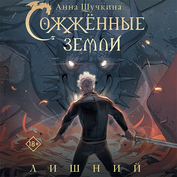 Сожженные земли. Лишний. Обложка