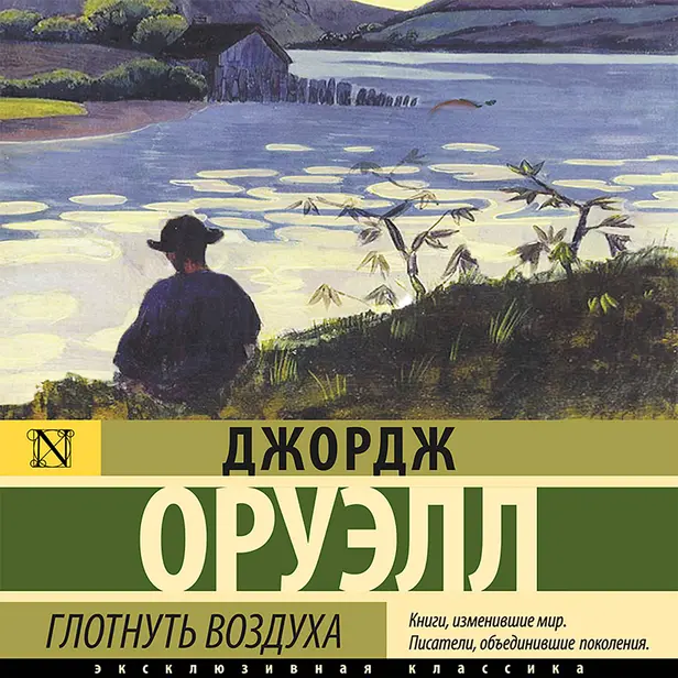 Глотнуть воздуха. Обложка