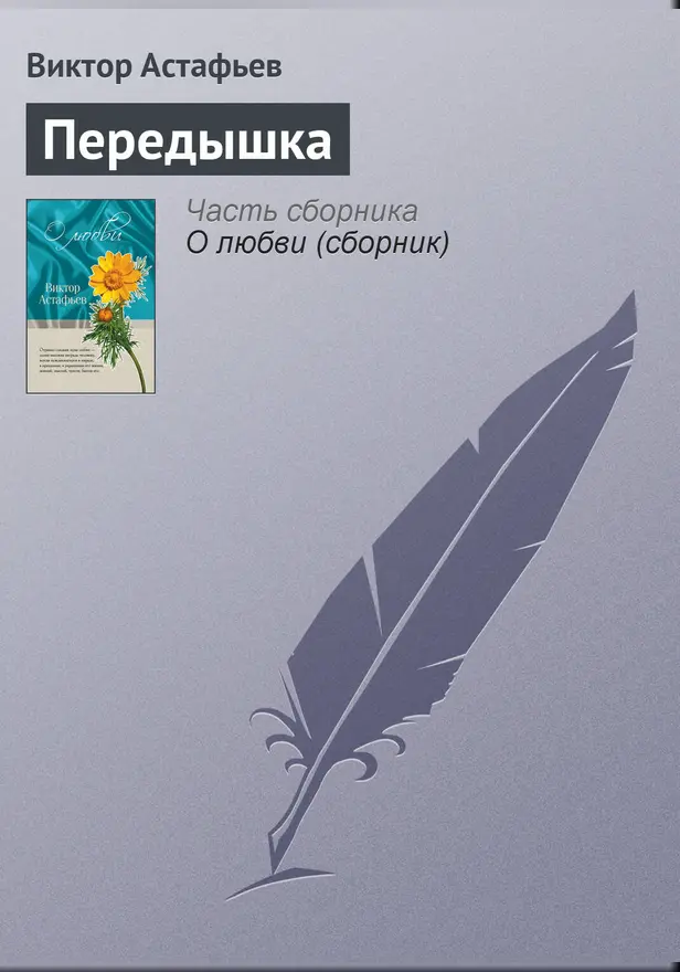 Передышка. Обложка