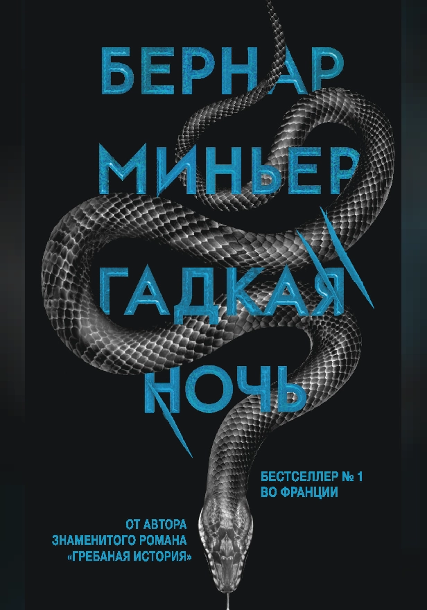 Гадкая ночь. Обложка