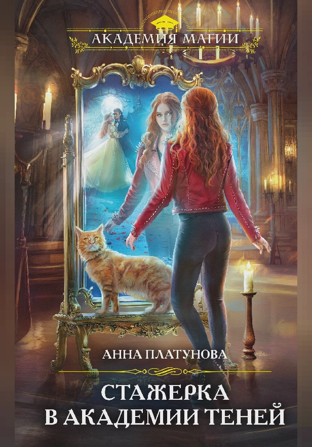 Стажерка в Академии Теней. Обложка