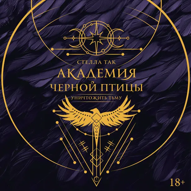 Академия Черной птицы. Уничтожить тьму. Обложка