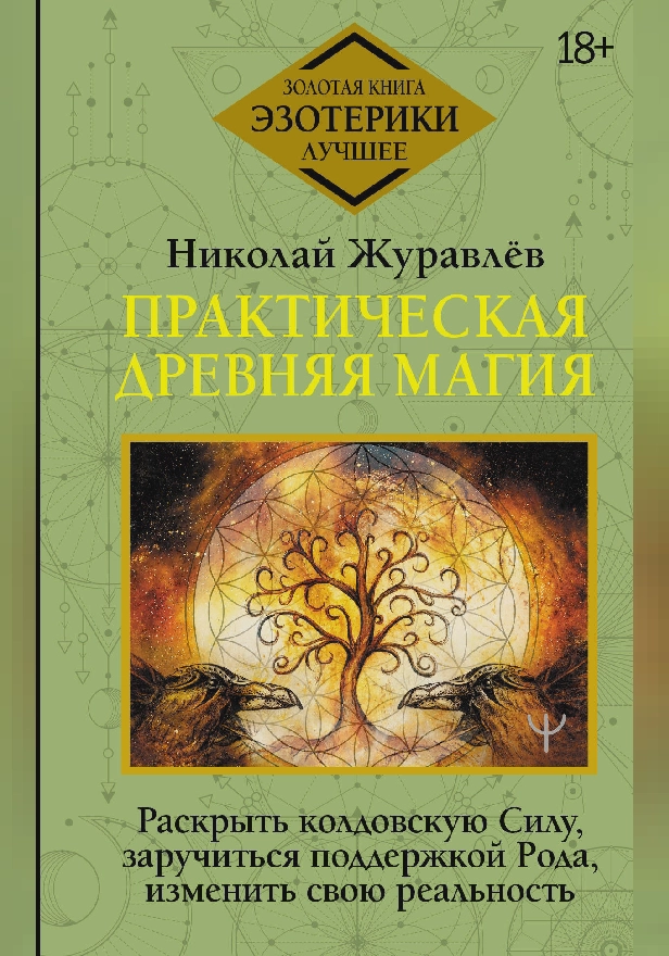 Практическая древняя магия. Раскрыть колдовскую Силу, заручиться поддержкой Рода, изменить свою реальность. Обложка
