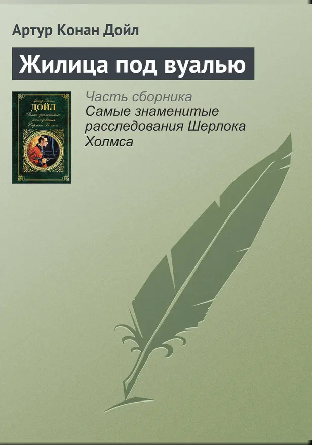 Жилица под вуалью. Обложка